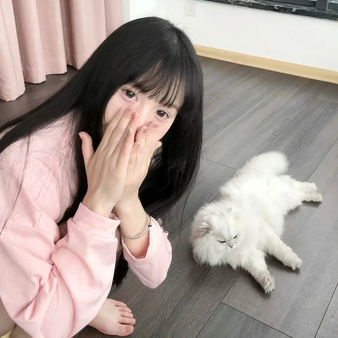 秃鹰七十二小时